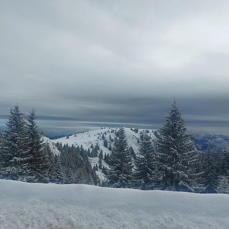 Apartman Milly Kopaonik Exterior photo