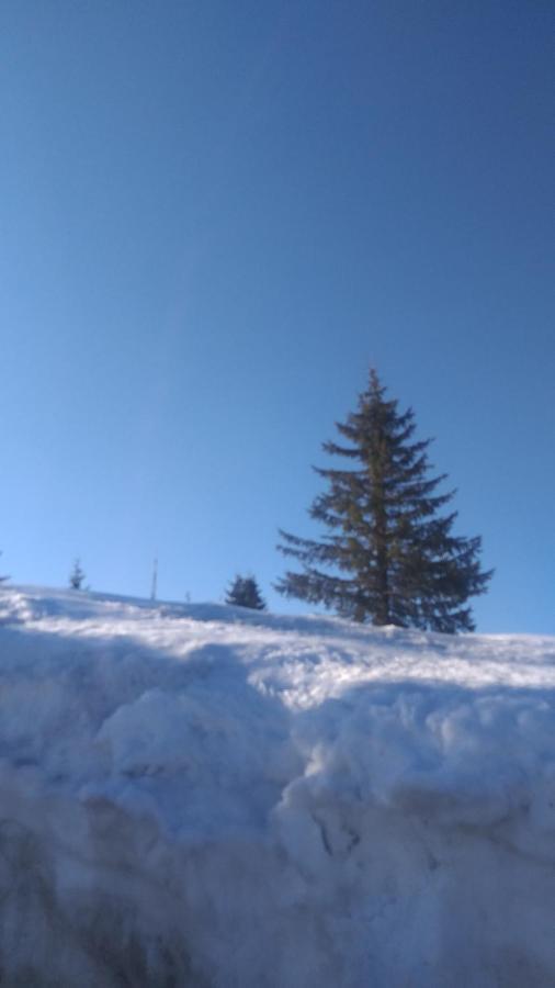 Apartman Milly Kopaonik Exterior photo