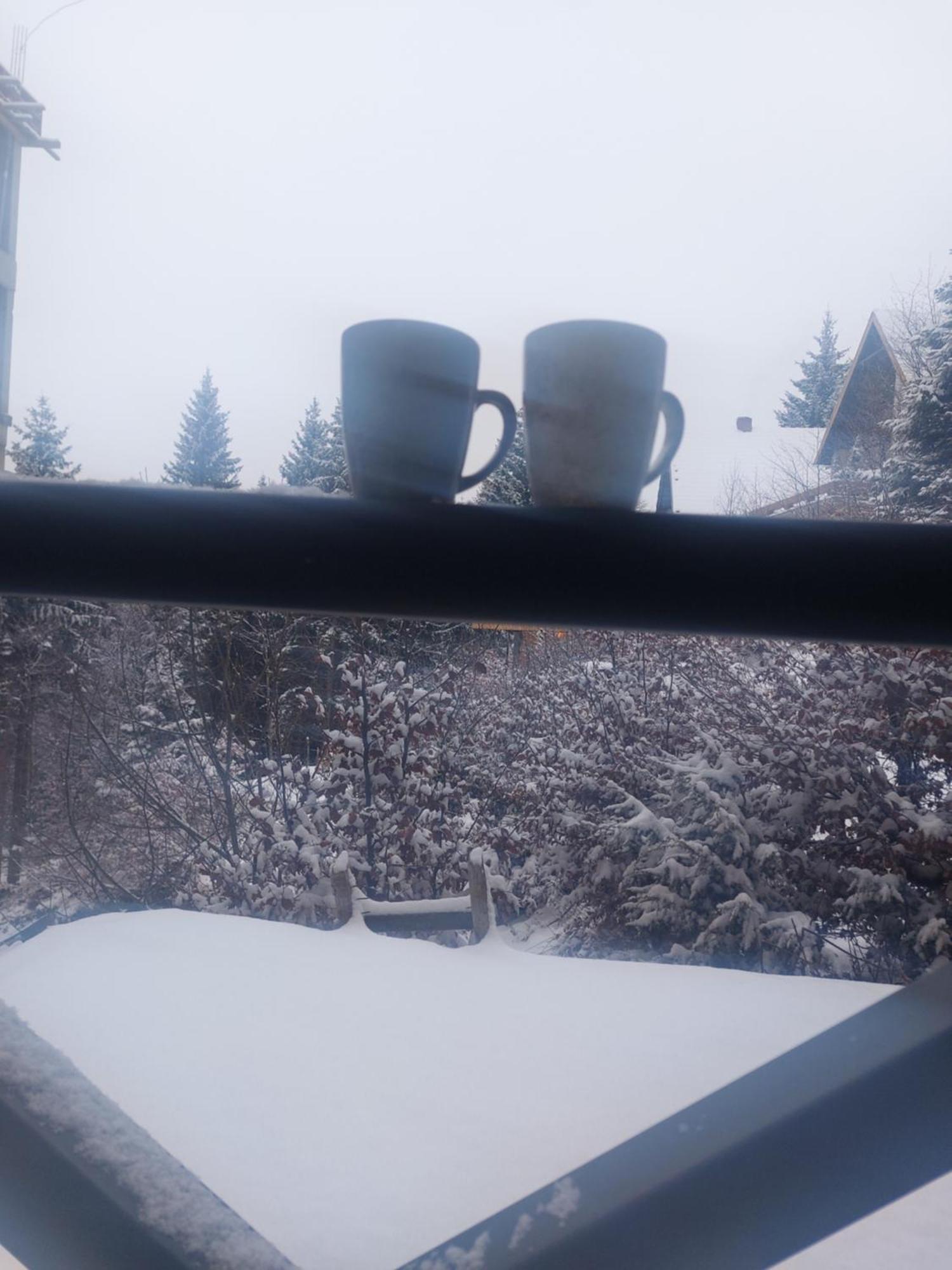 Apartman Milly Kopaonik Exterior photo